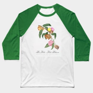 "Pan Dulce - Dolci Pasticcini" - Pastry Tree; traditional botanical art from Pomona Italiana updated with classic Mexican desserts Baseball T-Shirt